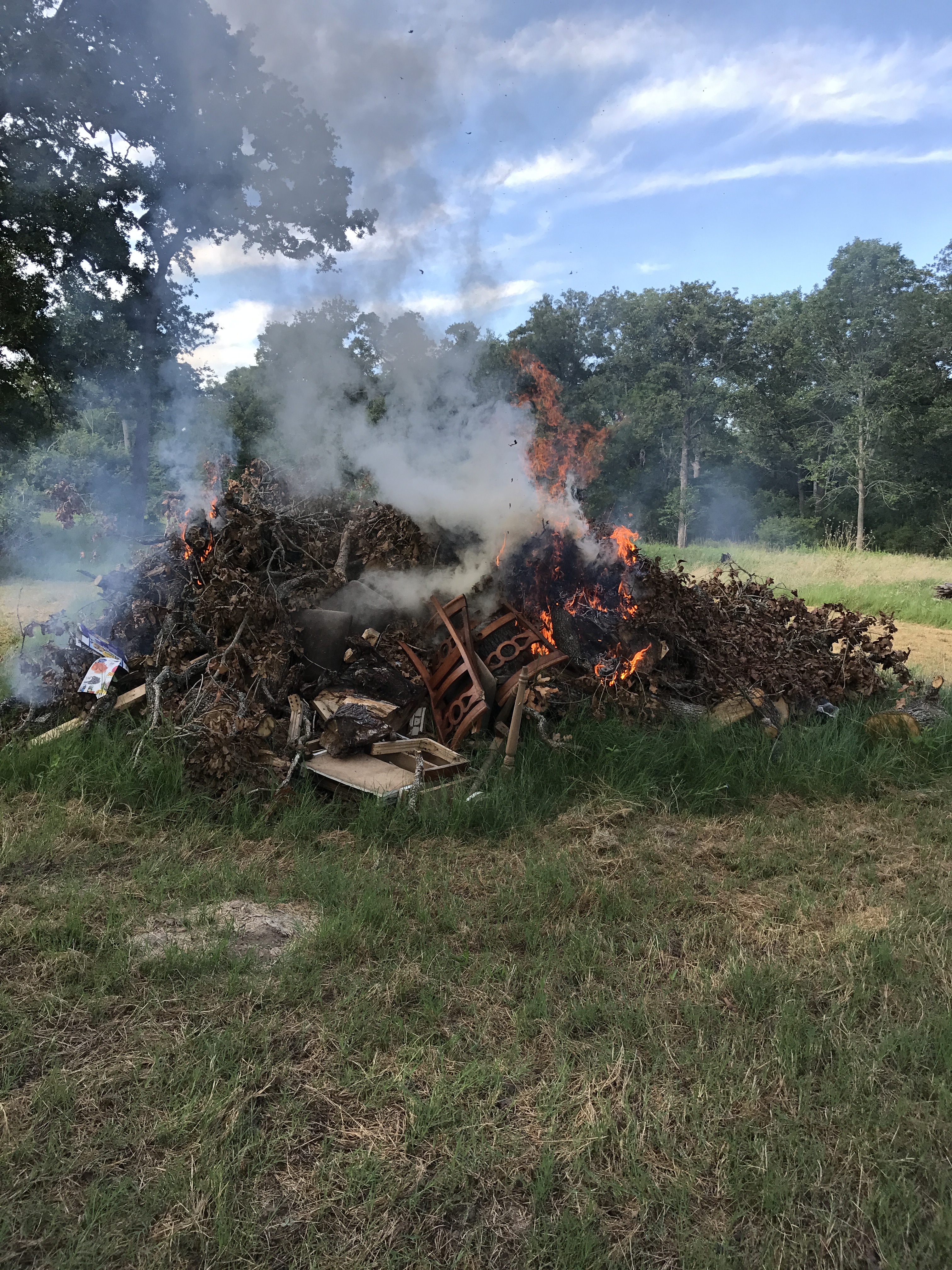 Cleansing Fire – Insights From Tom