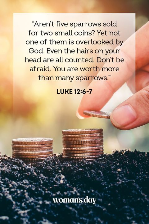 luke-12_6-7 – Insights From Tom