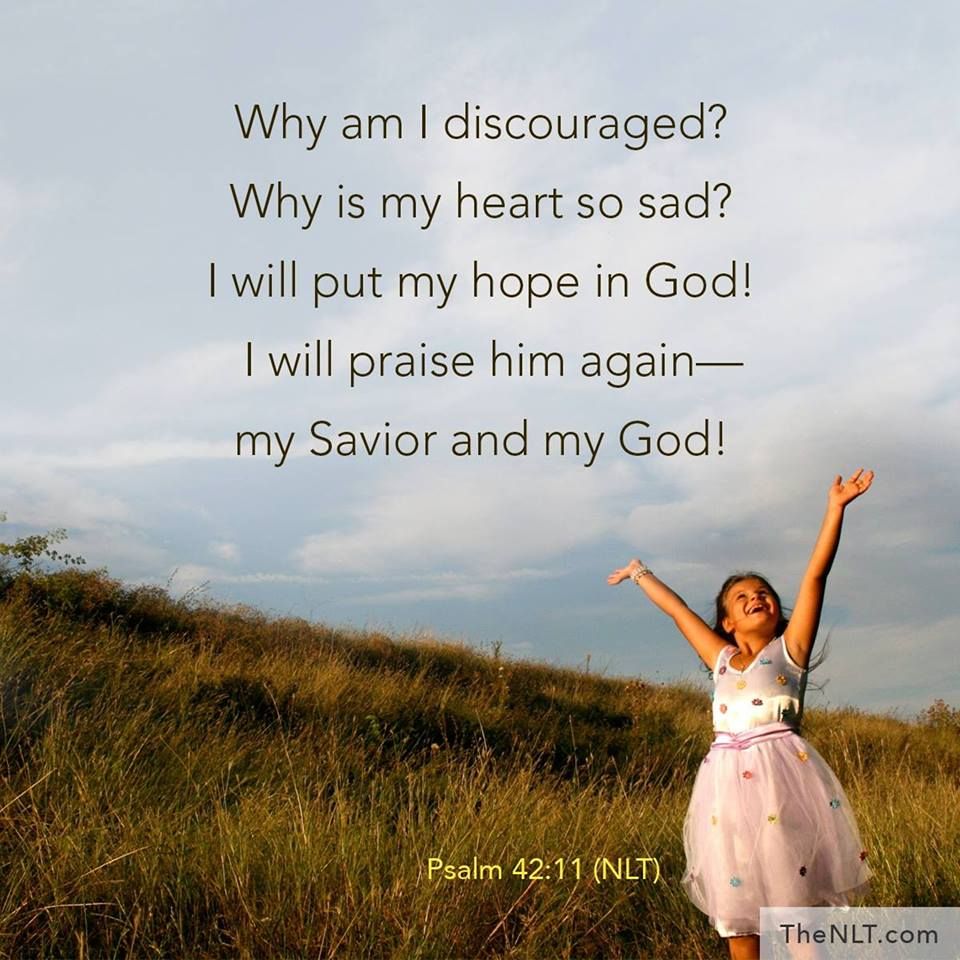 January 29, 2022 Verse Of The Day – Insights From Tom