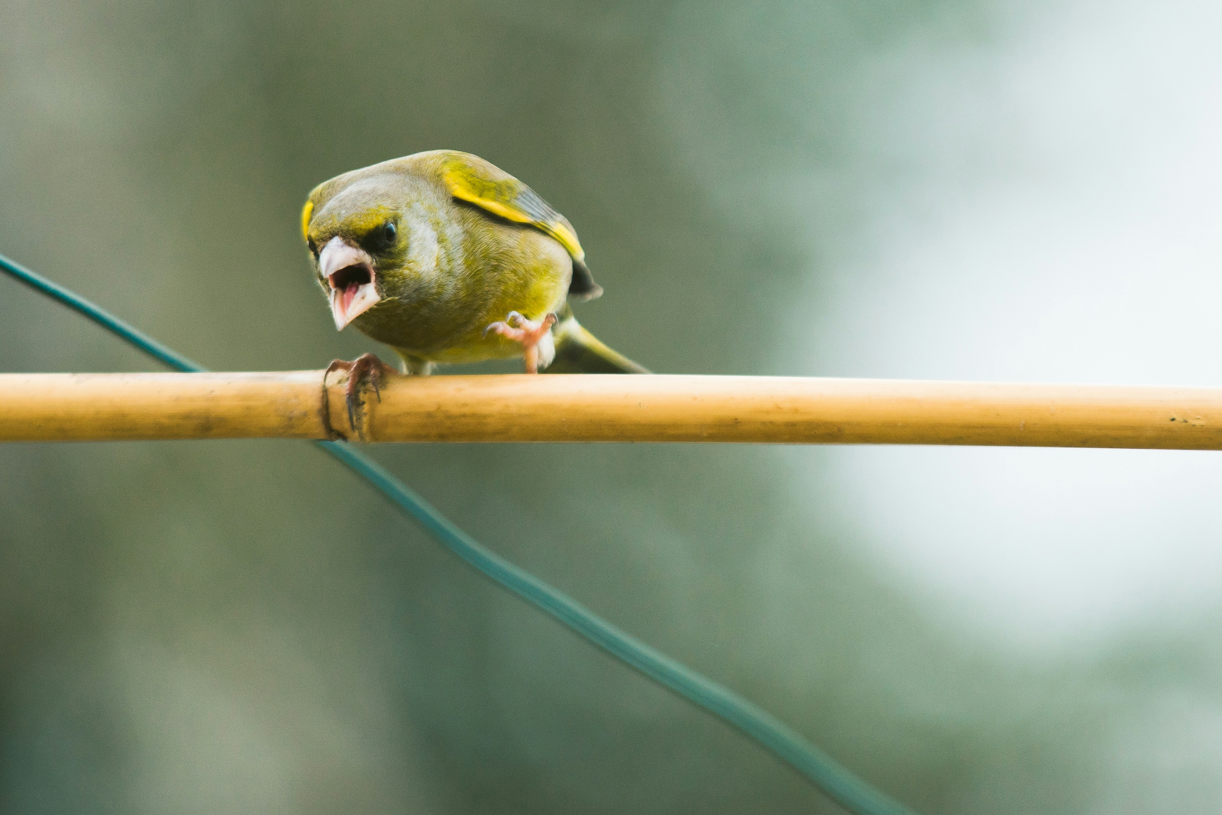 Jonah 4:4 Anger Against God – Insights From Tom