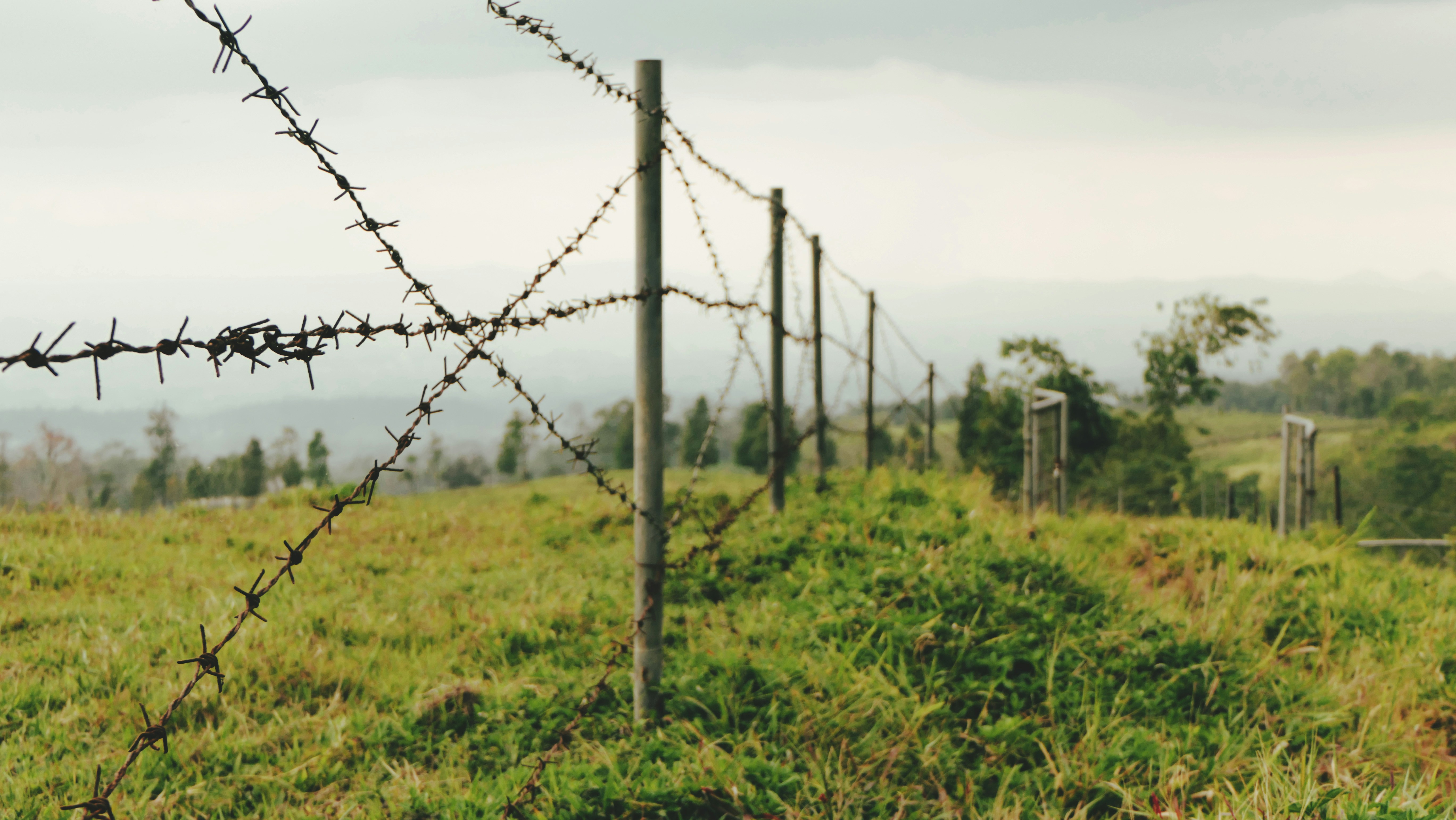 Romans 6:19 Choose To Be A Slave – Insights From Tom