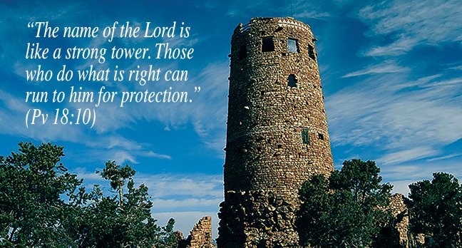 November 23, 2024 Verse Of The Day – Insights From Tom