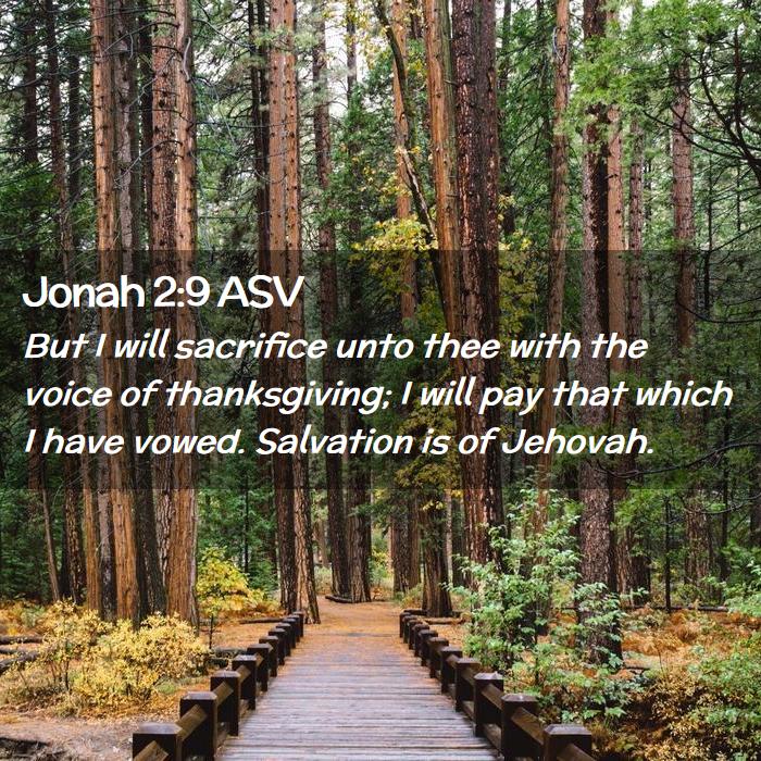 March 6, 2025 Give Thanks – Insights From Tom